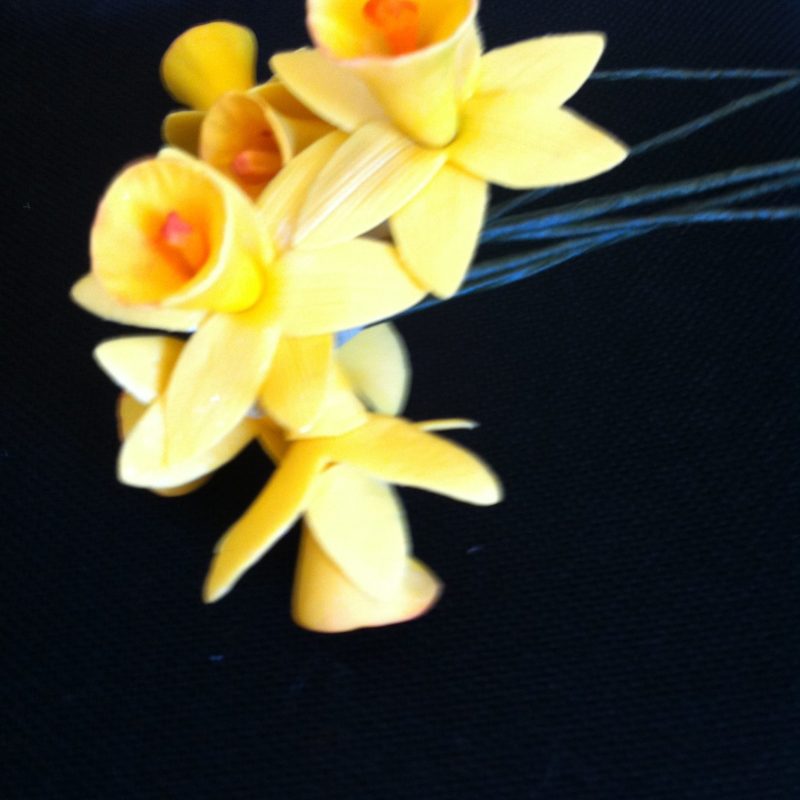 Icing Flowers Lanark